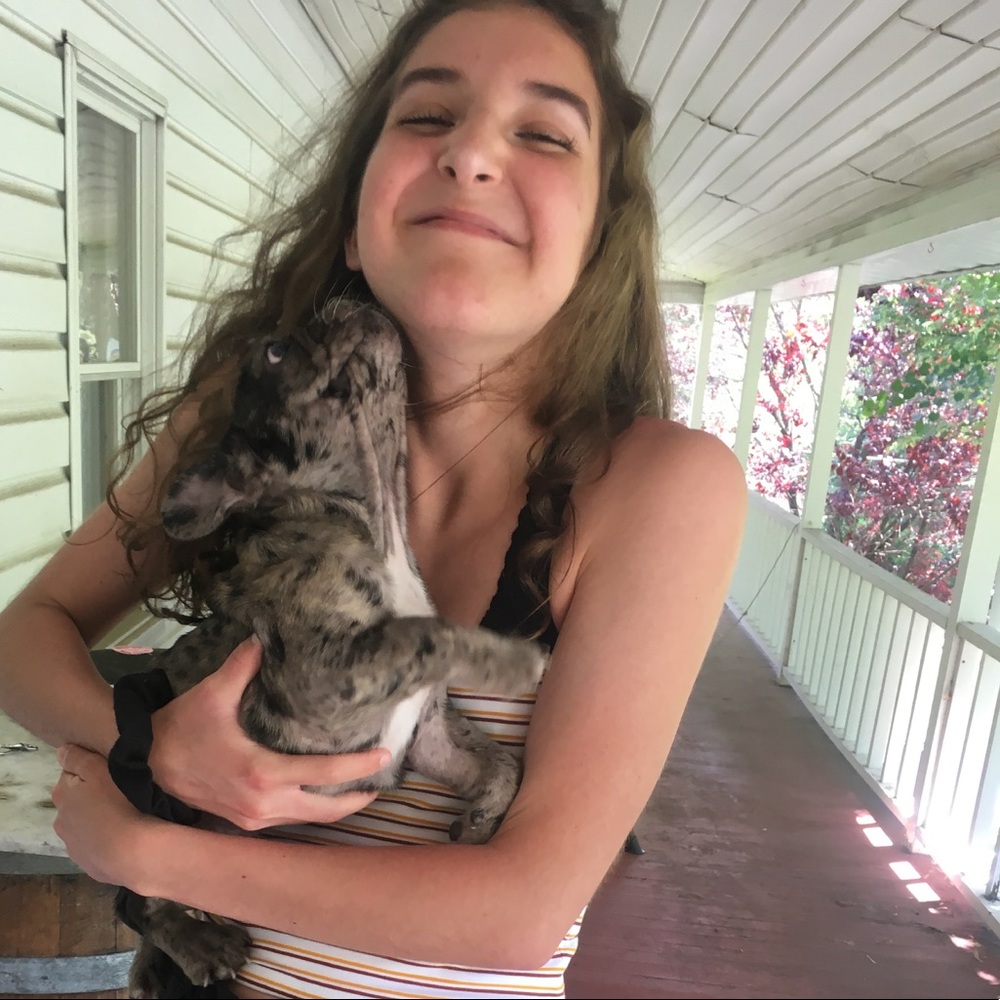 Meet your Posher, Lily